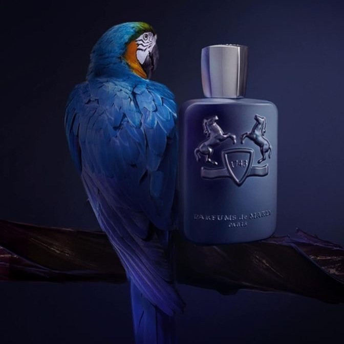 عطر مردانه Parfums de Marly leiton – حجم ۲۵ میلیلیتر