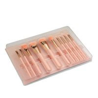 ست براش آرایشی 10 تایی دی اس دی | DSD 10 Pieces Cosmetic Brush Set حرفهای